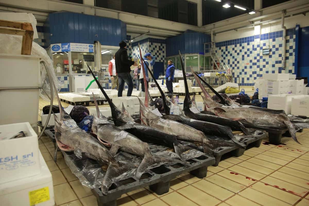 Il Mercato ittico che “trasforma” Torino in una città di mare