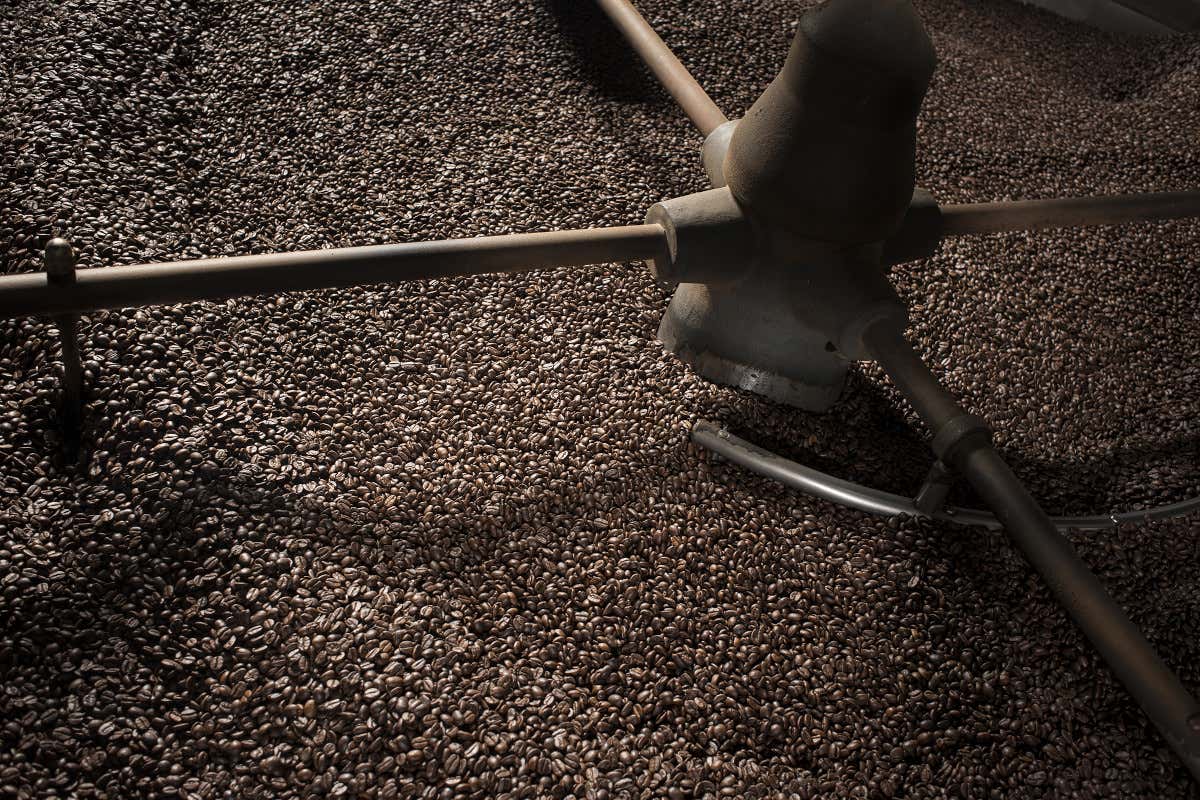 Dalla colazione all'happy hour: il nuovo concept di Goppion a Mestre