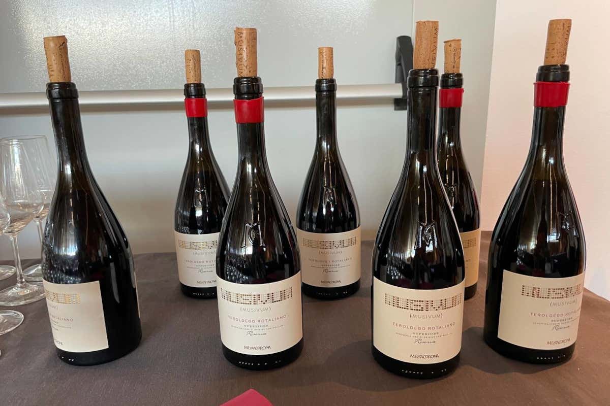 Il Teroldego rotaliano di Mezzacorona  Mezzacorona presenta il suo Teroldego rotaliano, simbolo d'eccellenza trentina