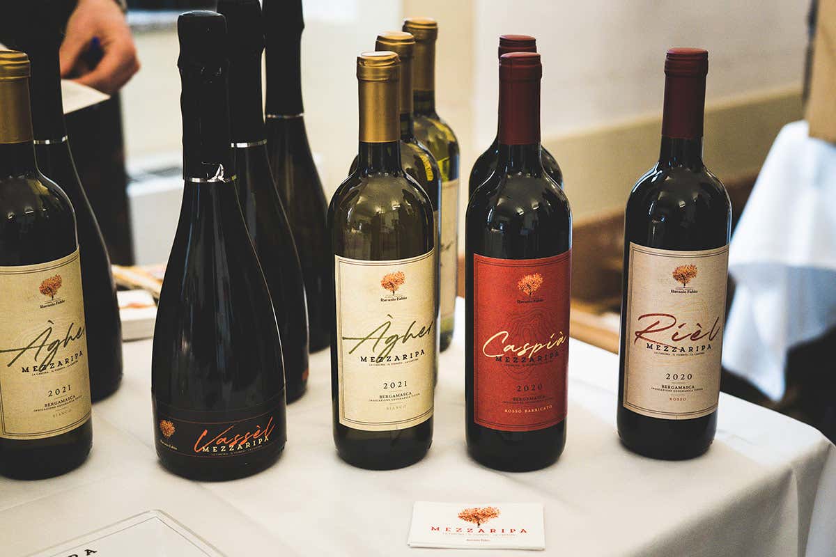 Mezzaripa C’è fermento in Val Pontida…