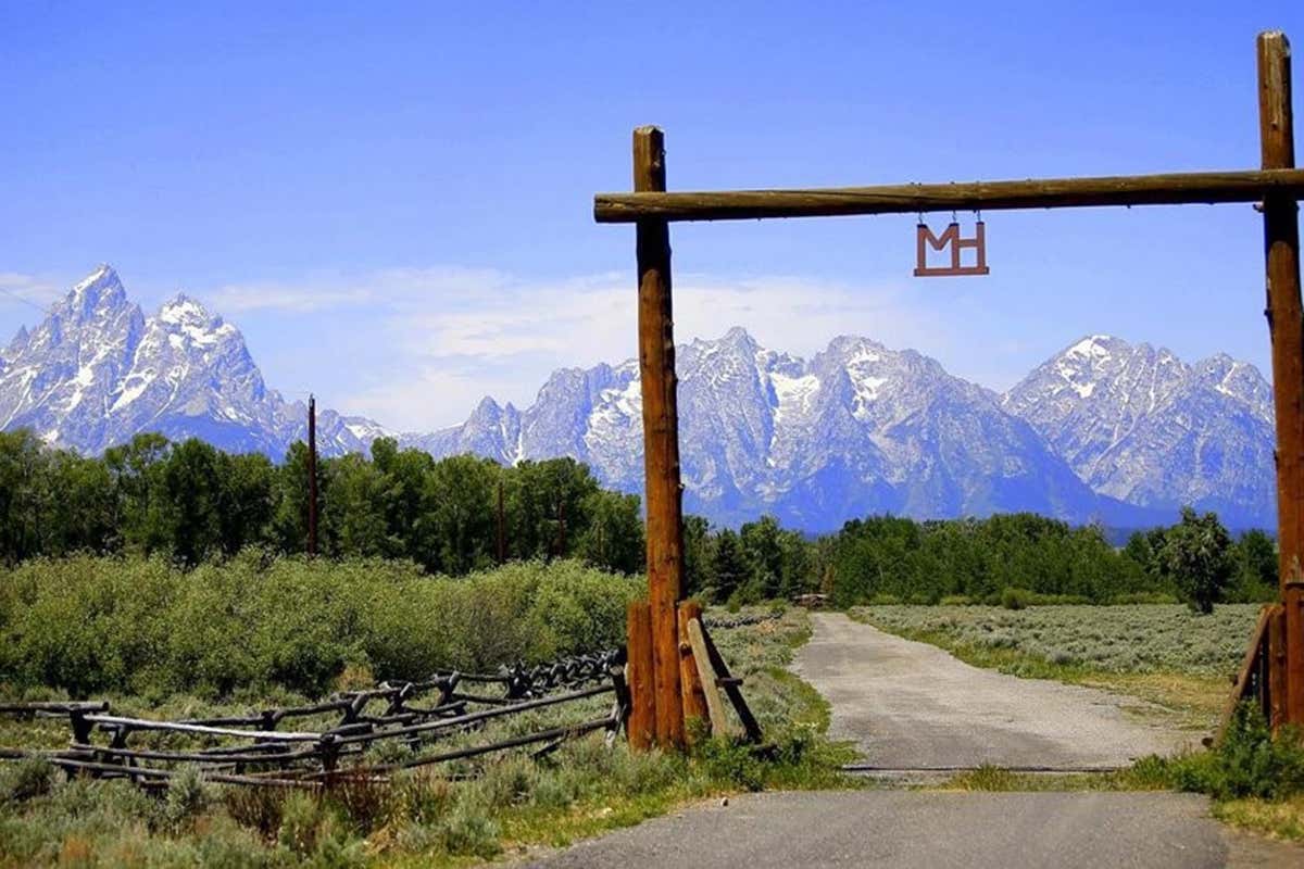 Immersione totale nella natura. Foto: @garypetersonphotography 