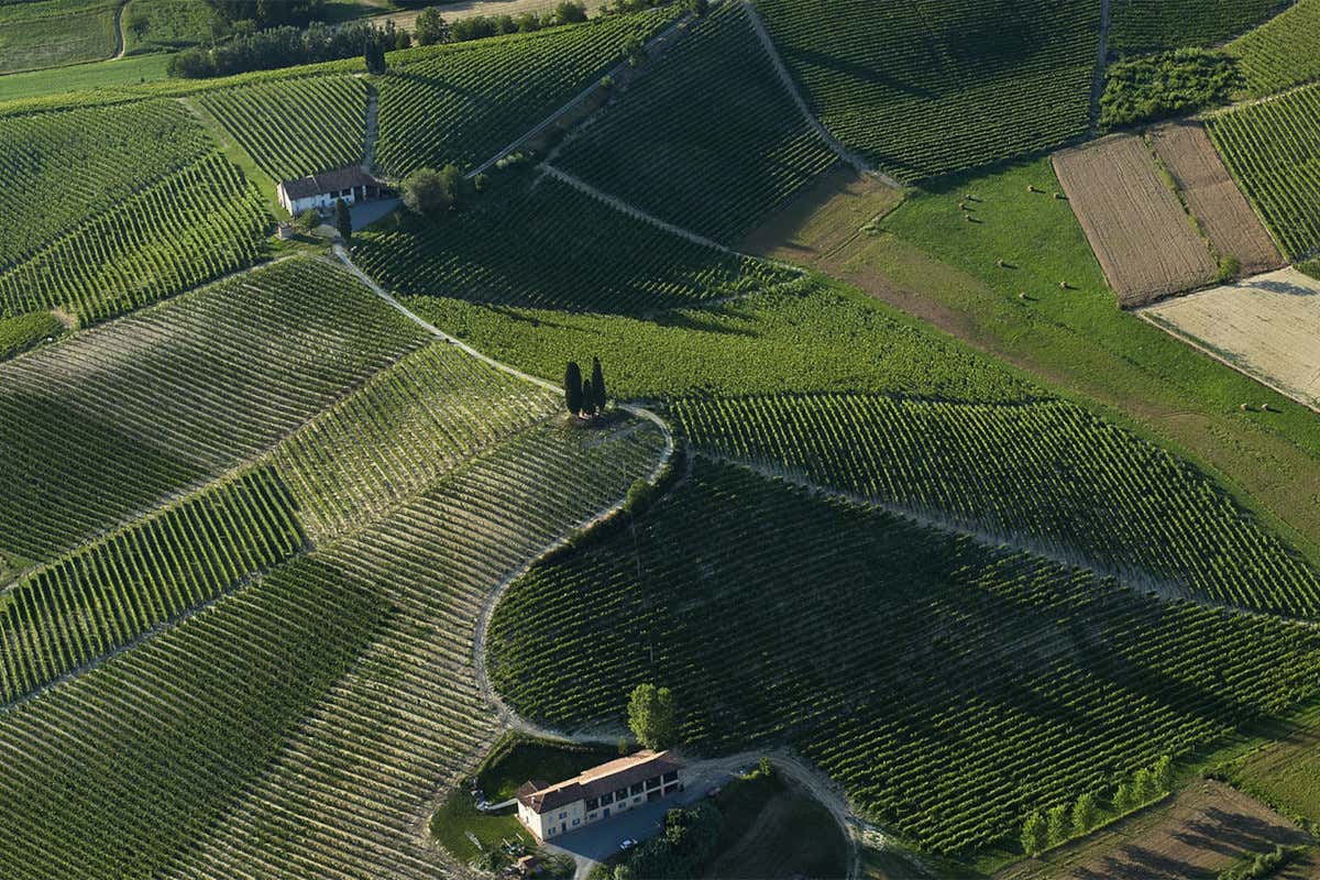 Vista sui vigneti di Michele Chiarlo