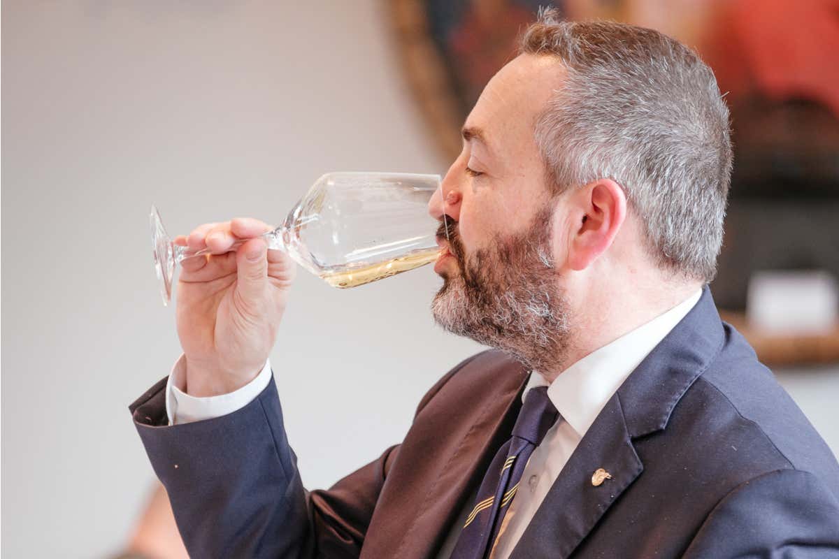 Collio: un viaggio lungo 60 anni per celebrare una grande tradizione vinicola