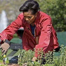 Michelle Obama
