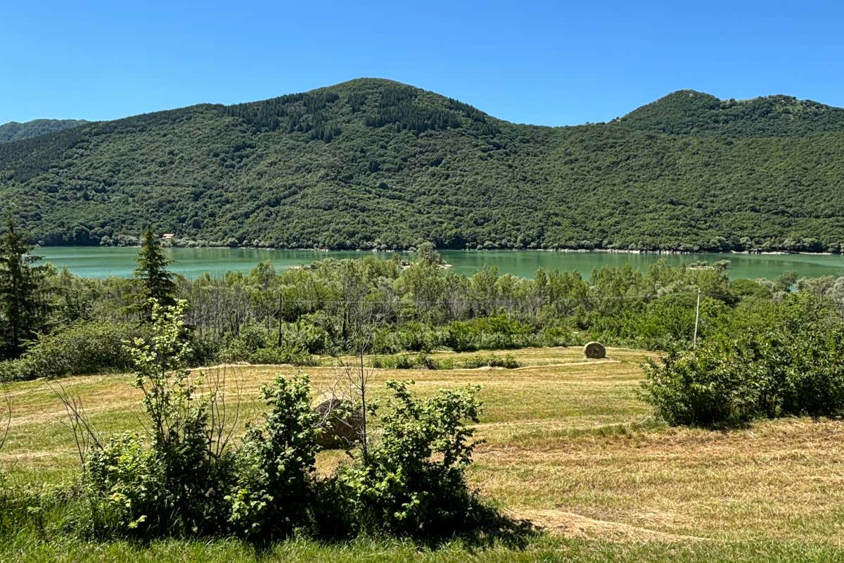 I mieli (unici) dei monti del Matese diventano Presidio Slow Food I mieli (unici) dei monti del Matese diventano Presidio Slow Food