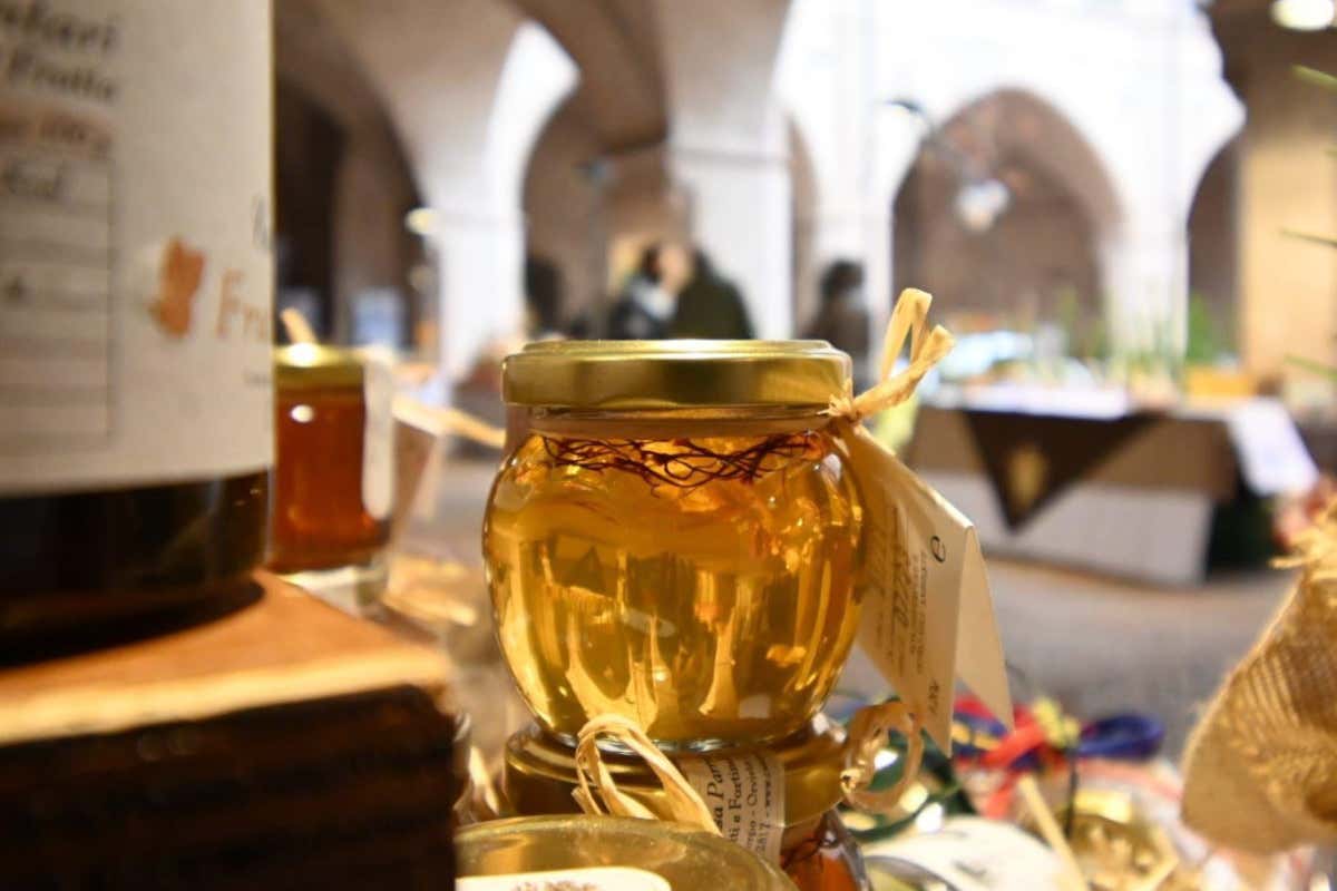 Miele l’Umbria lancia l’allarme per il calo drastico degli alveari