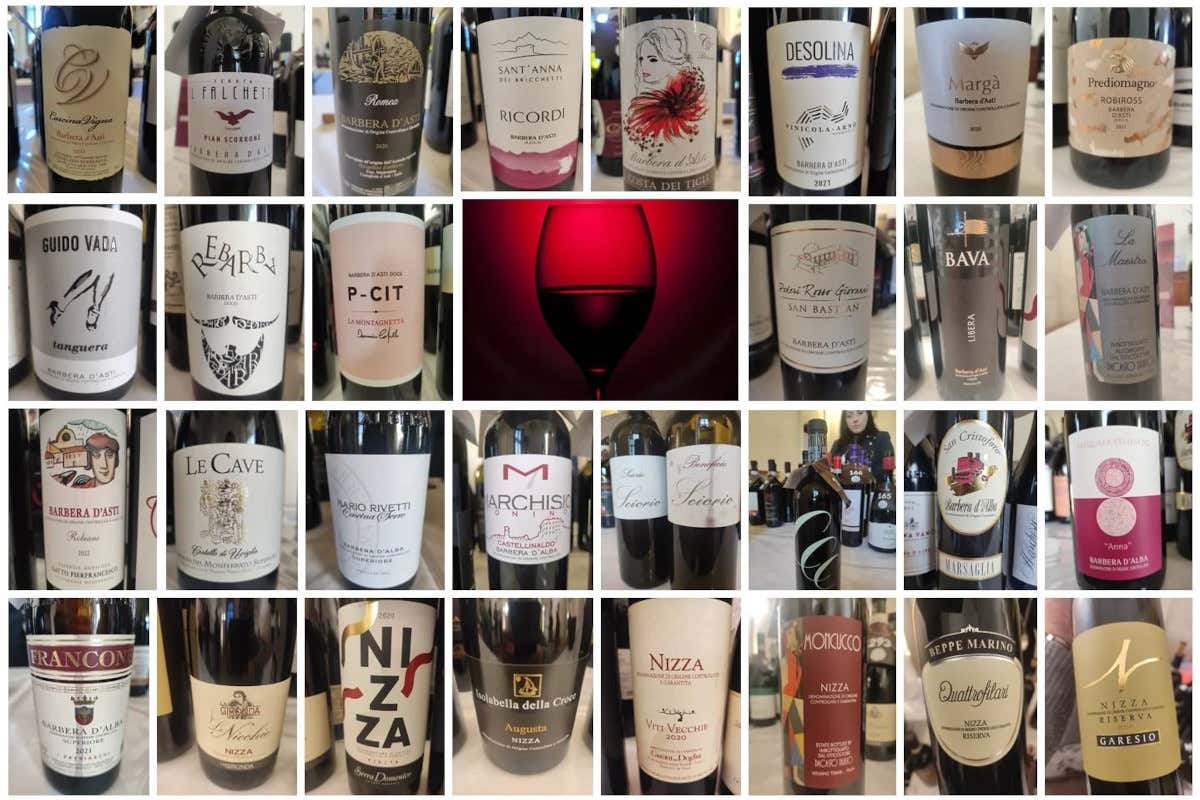 Le 30 migliori Barbera d'Asti, Alba, Monferrato e Nizza a Rosso Barbera 2023