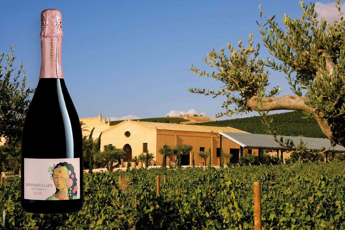 L'anima del territorio siciliano nei vini di Donnafugata L'anima del territorio siciliano nei vini di Donnafugata