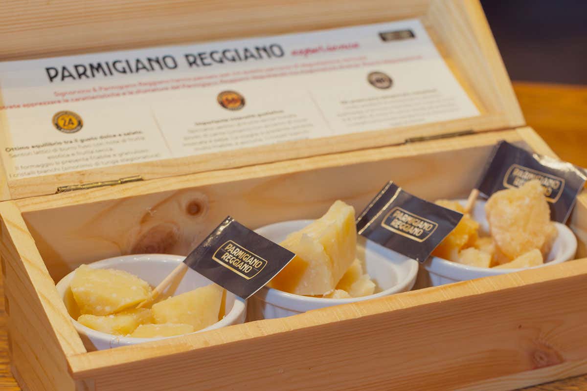 Parmigiano Reggiano, l’Accademia in campo per formare chi lo serve Parmigiano Reggiano, l’Accademia in campo per formare chi lo serve