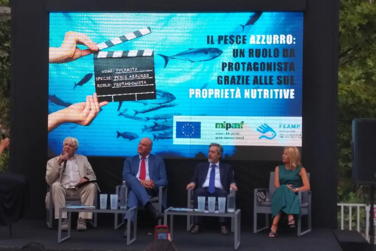 Il Mipaaf all'Isola del Cinema: protagonista il pesce azzurro