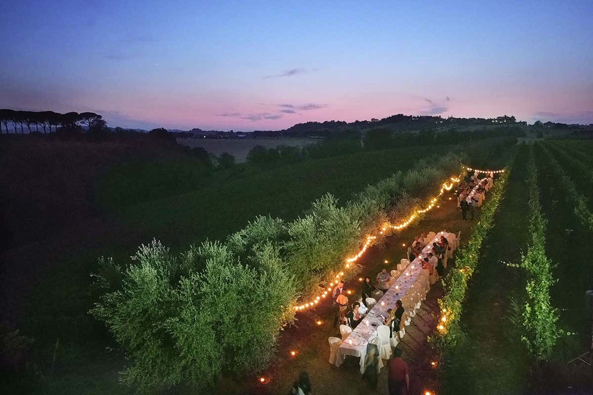 La cena in vigna dell’Estate alla MontecapponeMirizzi. Foto: Piero Principi Cena in vigna: i colpi di scena di Montecappone-Mirizzi