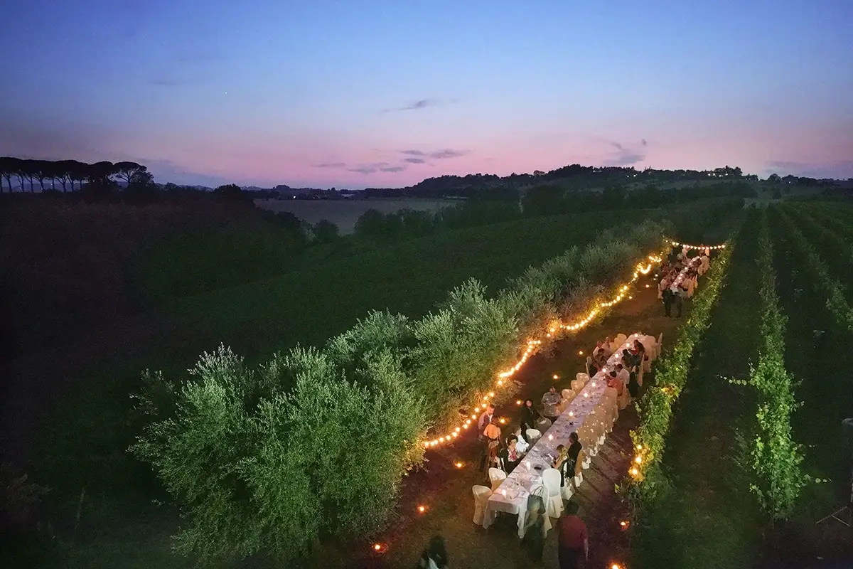 La cena in vigna dell’Estate alla MontecapponeMirizzi. Foto: Piero Principi Cena in vigna: i colpi di scena di Montecappone-Mirizzi