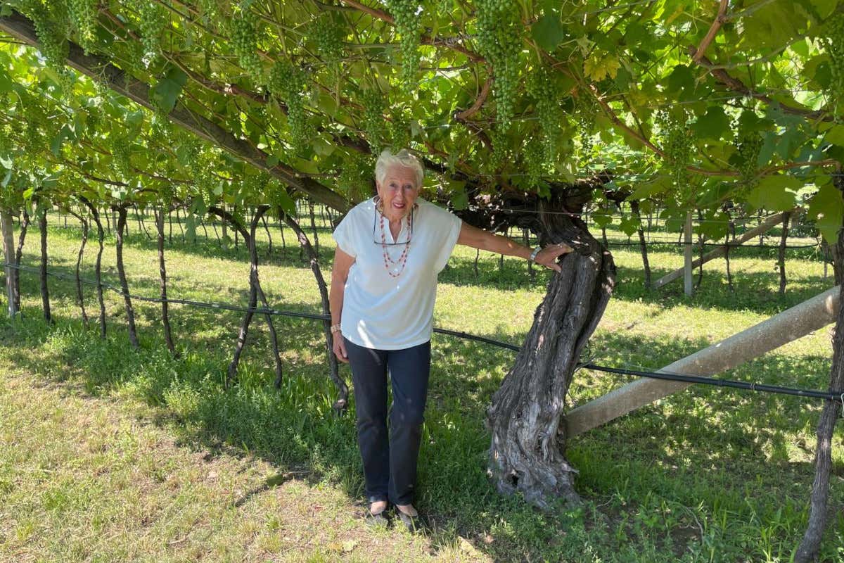 Mirta Menestrina accanto a una vigna di 90 anni  Teroldego rotaliano Doc Superiore Riserva 2016, l'eccellenza assoluta di Mezzacorona