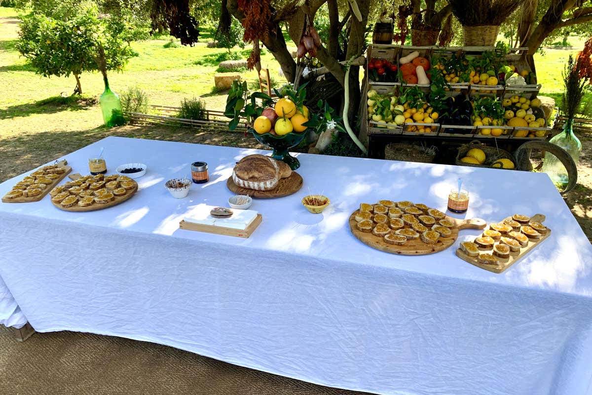 La Valle dei Templi apre il territorio al turismo enogastronomico