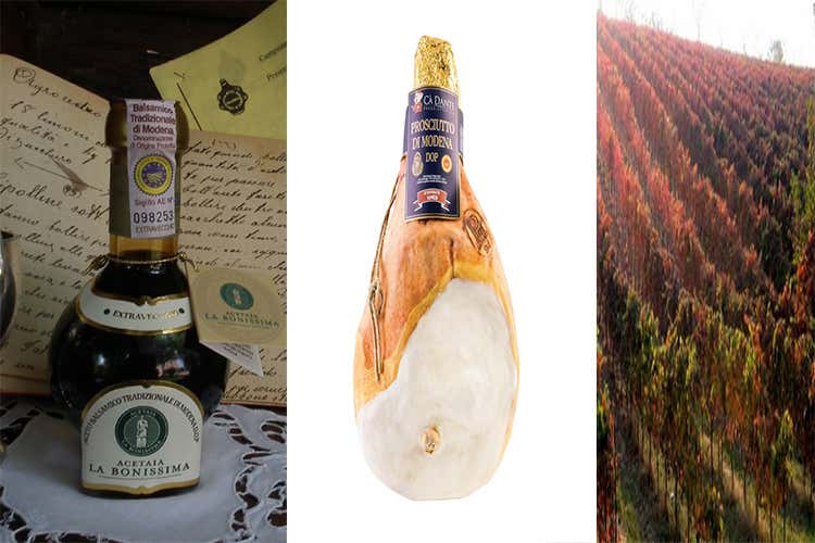 Aceto e Lambrusco non sono da meno (A Modena i Consorzi fanno squadra Dop e Igp trainano il territorio)