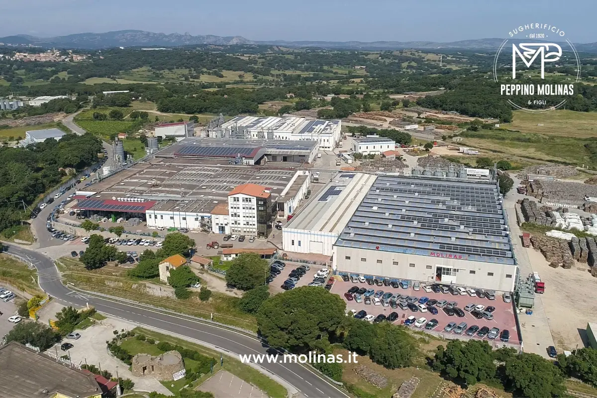 Sugherificio Molinas supera i 36 milioni di fatturato nel 2021