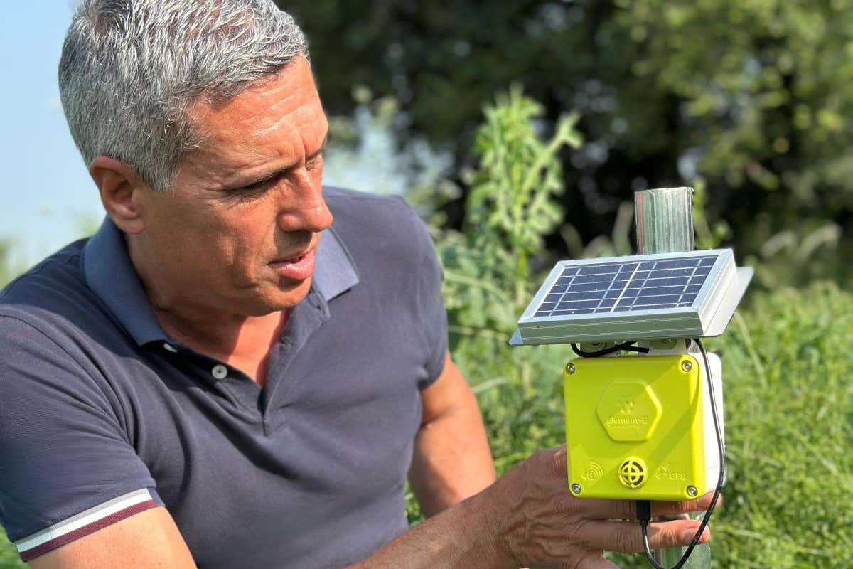 Campagna Grano 2025: filiera controllata, premi e sostenibilità al centro