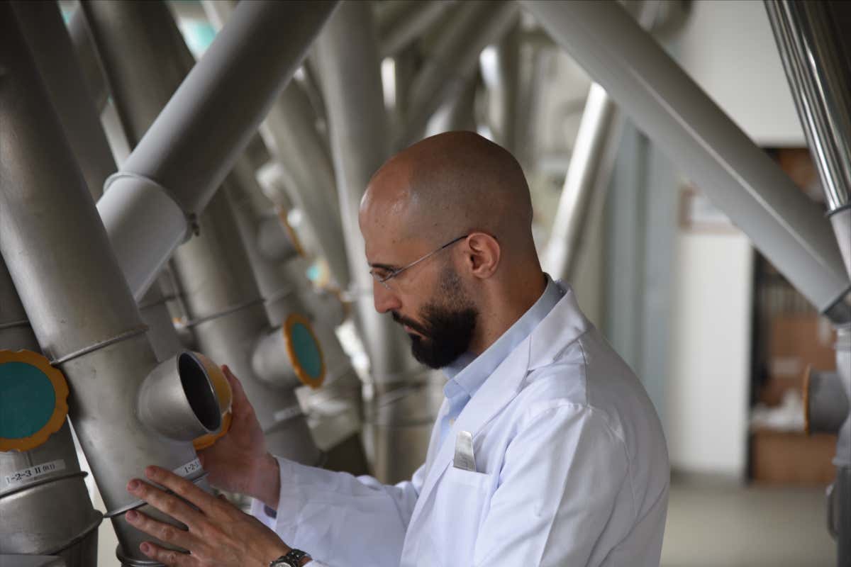 All’estero esaltano il nostro pane. In Italia lo demonizzano i guru da salotto All’estero esaltano il nostro pane. In Italia lo demonizzano i guru da salotto