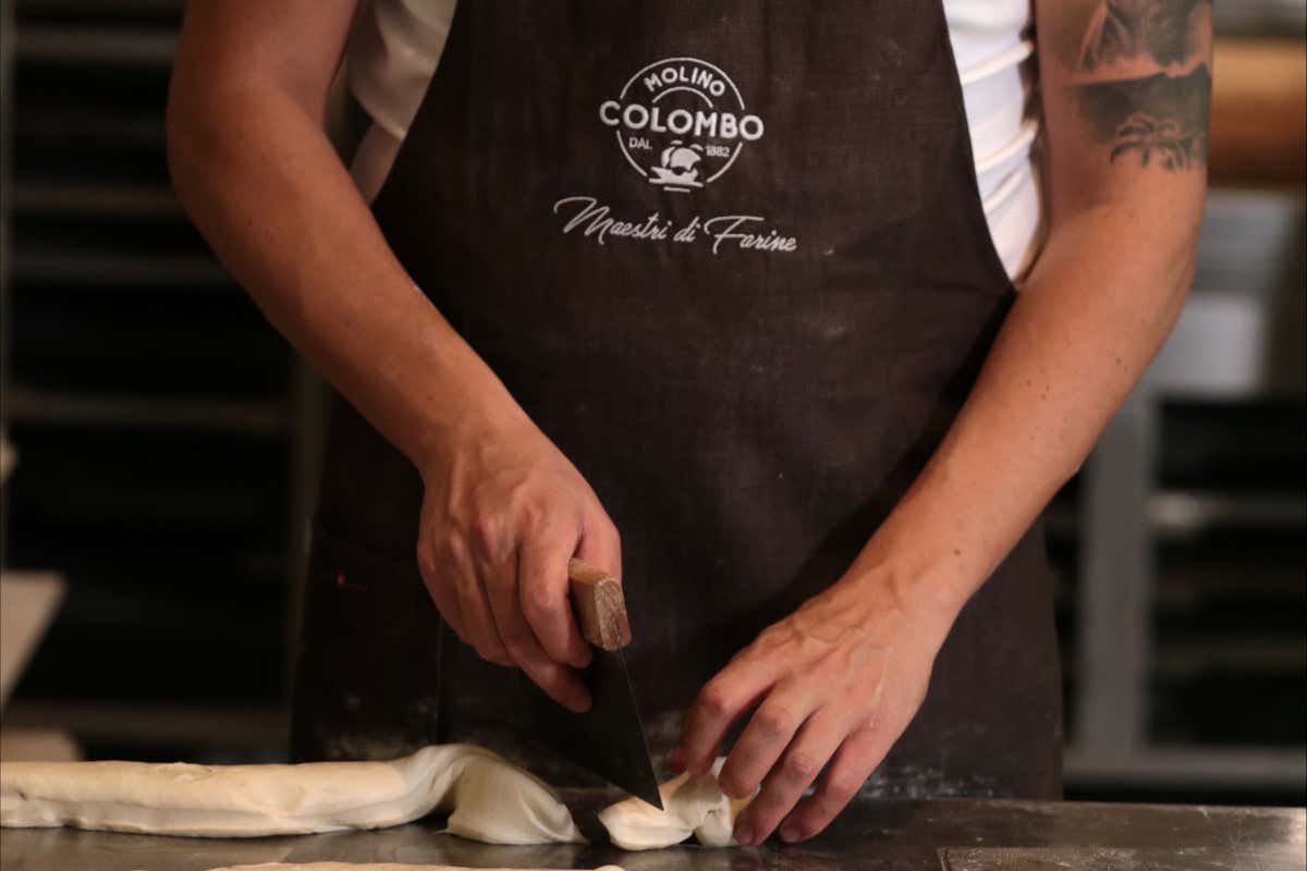 All’estero esaltano il nostro pane. In Italia lo demonizzano i guru da salotto All’estero esaltano il nostro pane. In Italia lo demonizzano i guru da salotto