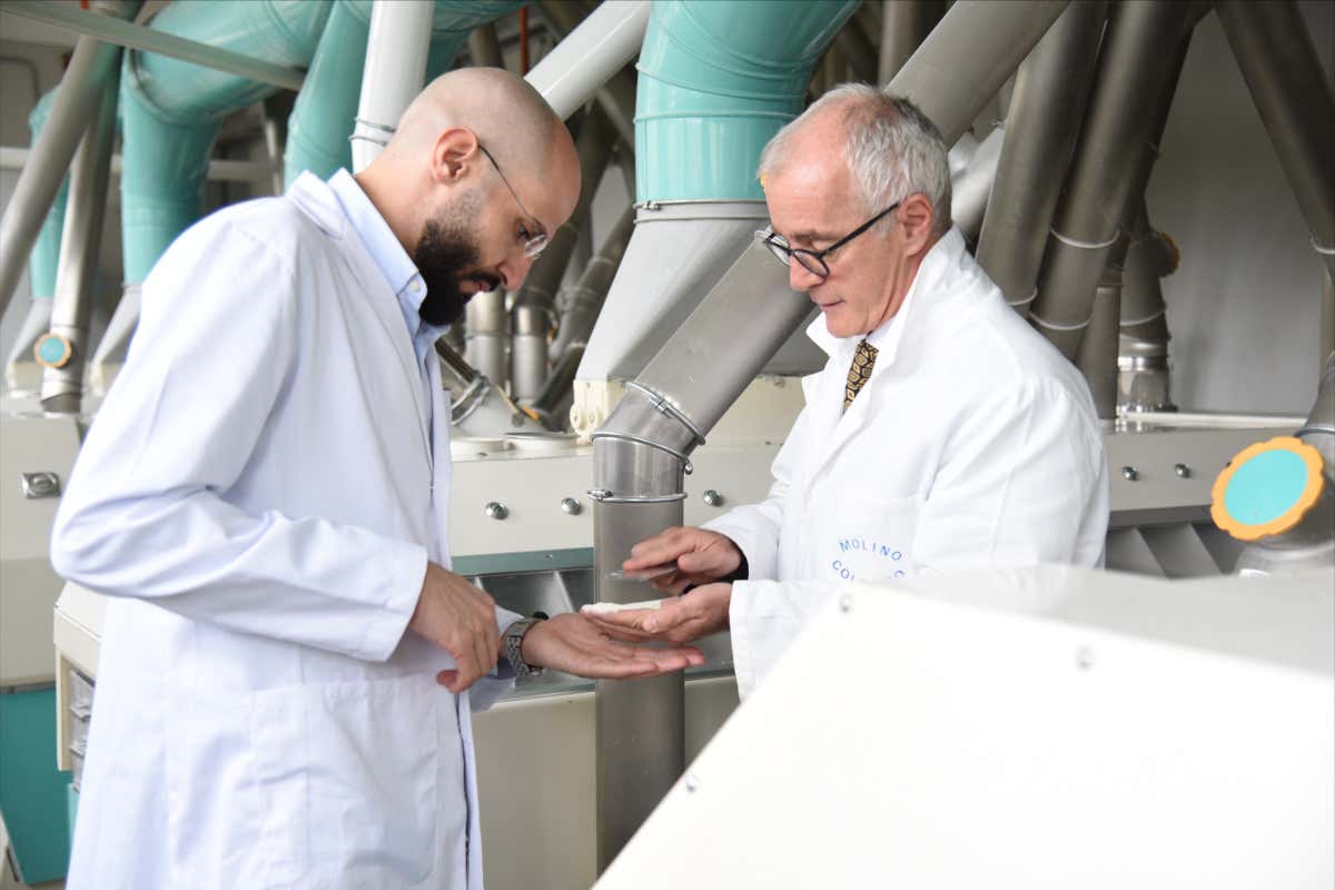 All’estero esaltano il nostro pane. In Italia lo demonizzano i guru da salotto All’estero esaltano il nostro pane. In Italia lo demonizzano i guru da salotto