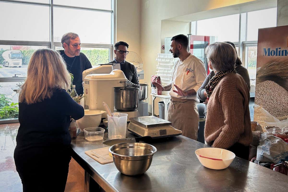 Farine premium per impasti stabili, digeribili e ricchi di gusto per la pizzeria