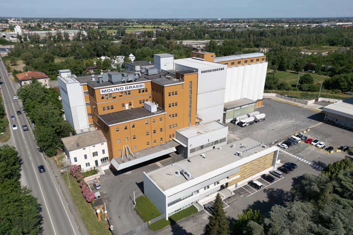 Filiera, qualità, futuro: il modello di successo di Molino Grassi nel Rapporto 2024 Filiera, qualità, futuro: il modello di successo di Molino Grassi nel Rapporto 2024