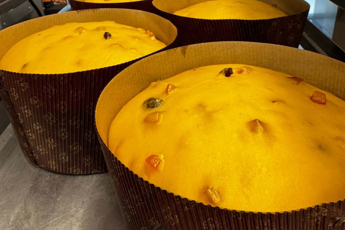Il maestro Luigi Biasetto protagonista di un corso sul panettone d’autore