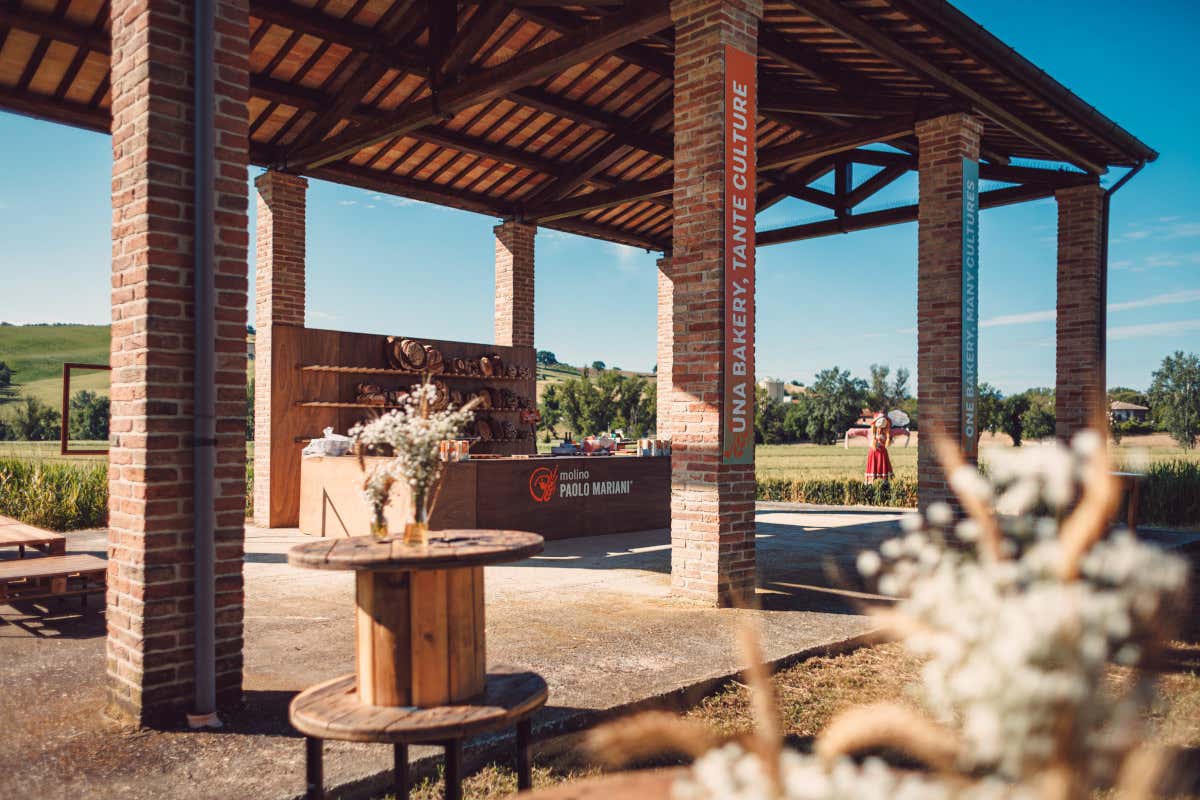 “360 Grani” di Molino Paolo Mariani: il grano come cultura e inclusione