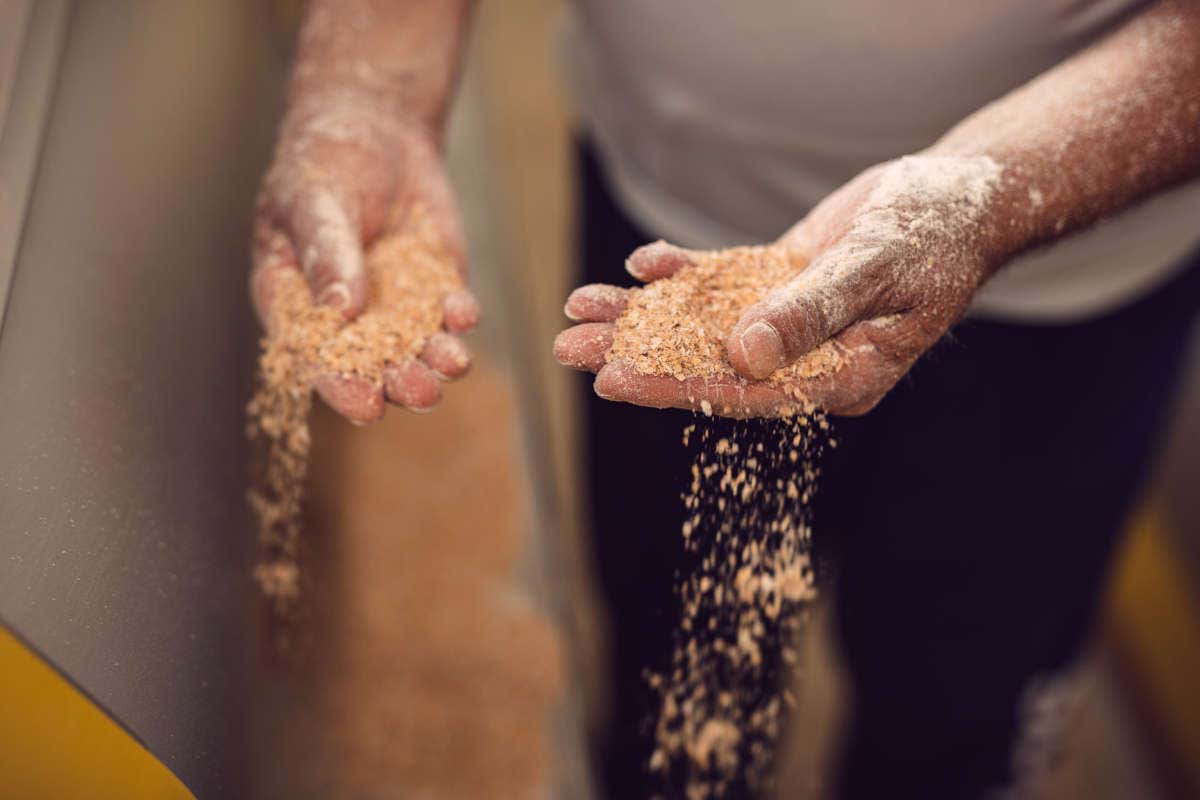 Molino Paolo Mariani: simbiosi unica tra territorio, grano e uomo