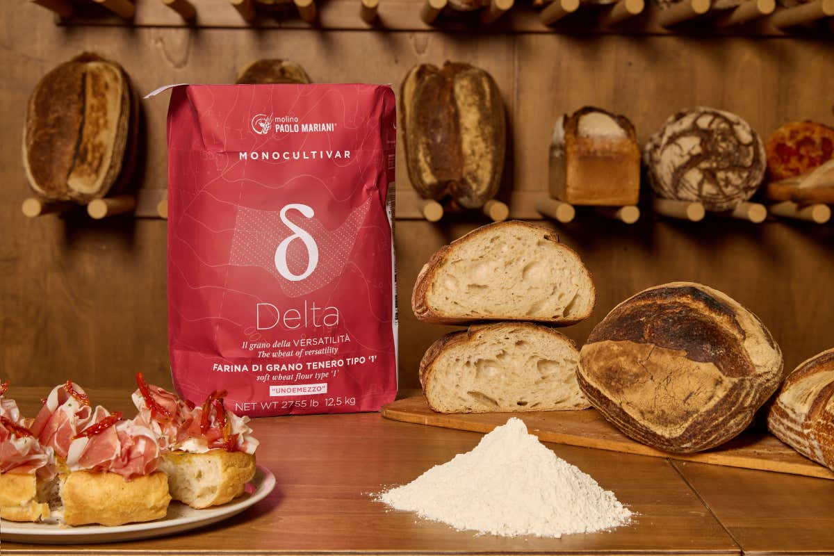 Delta Monocultivar: la farina uno e mezzo per pane e pizza di Molino Paolo Mariani