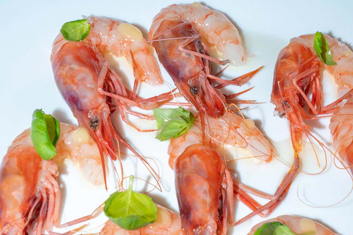 Dopo i Balzi Rossi, gli chef Enrico Marmo e Jacopo Rosti ripartono da Bordighera Dopo i Balzi Rossi, gli chef Enrico Marmo e Jacopo Rosti ripartono da Bordighera