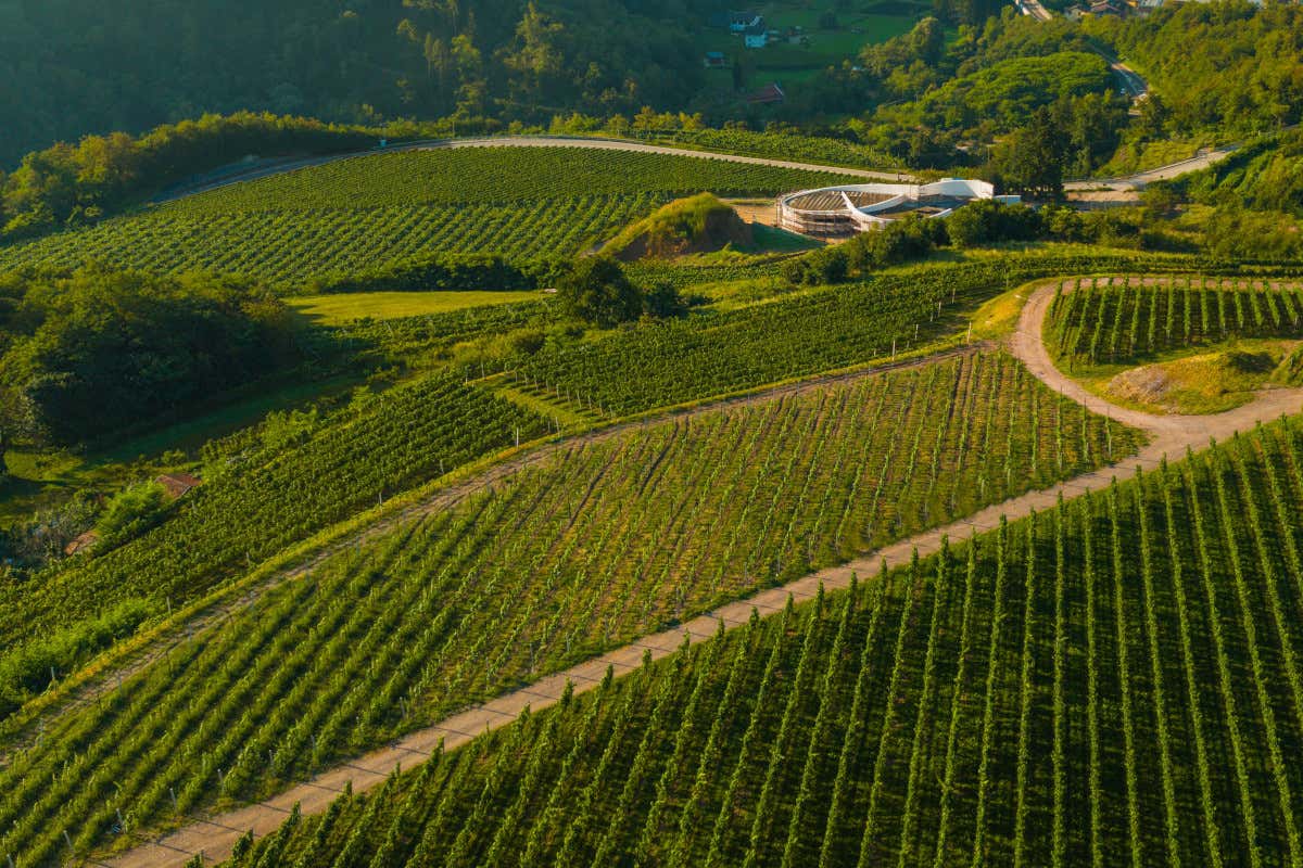 Dalla nuova cantina delle sorelle Walch, due Trentodoc che fanno la differenza Dalla nuova cantina delle sorelle Walch, due Trentodoc che fanno la differenza