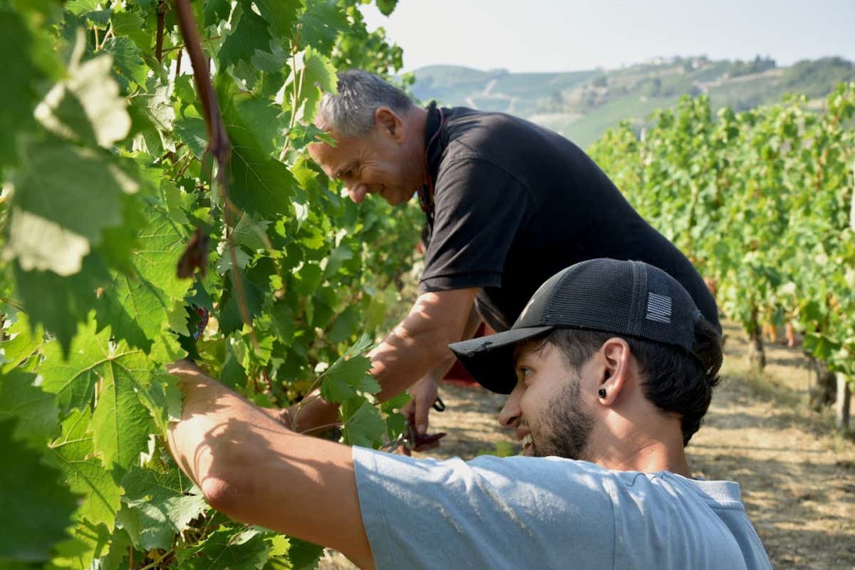 Barolo di famiglia: i Monchiero, una vita tra le vigne delle Langhe Barolo di famiglia: i Monchiero, una vita tra le vigne delle Langhe
