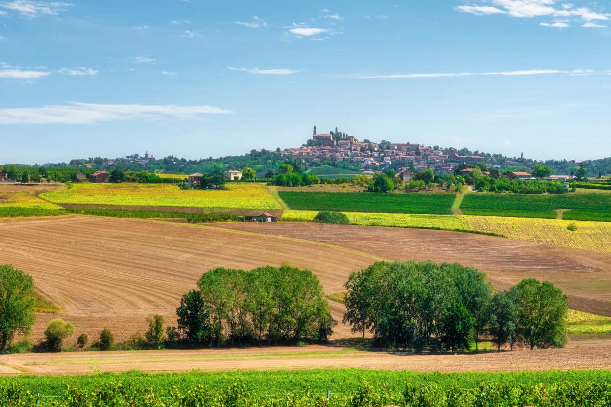 È uscito il libro che racconta il Monferrato in 57 piatti di riso