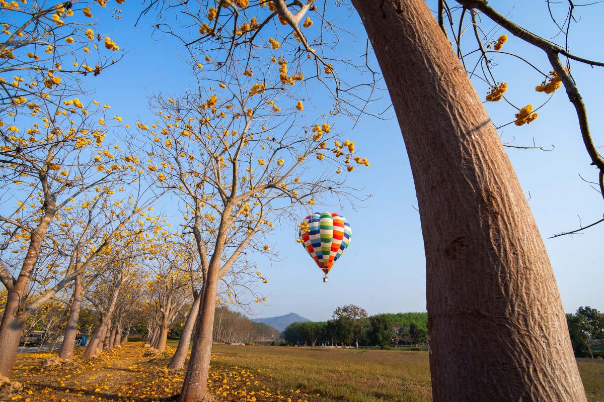Turismo rurale tra multifunzionalità e diversificazione: come intervenire? Turismo rurale tra multifunzionalità e diversificazione: come intervenire?