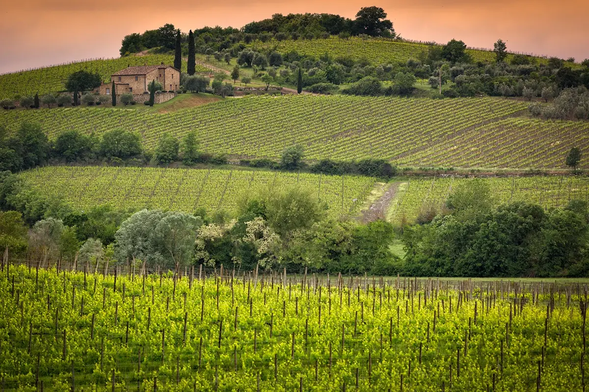 Boom per l'enoturismo sul territorio Il vino pi&ugrave; conosciuto dagli italiani? Il Brunello di Montalcino