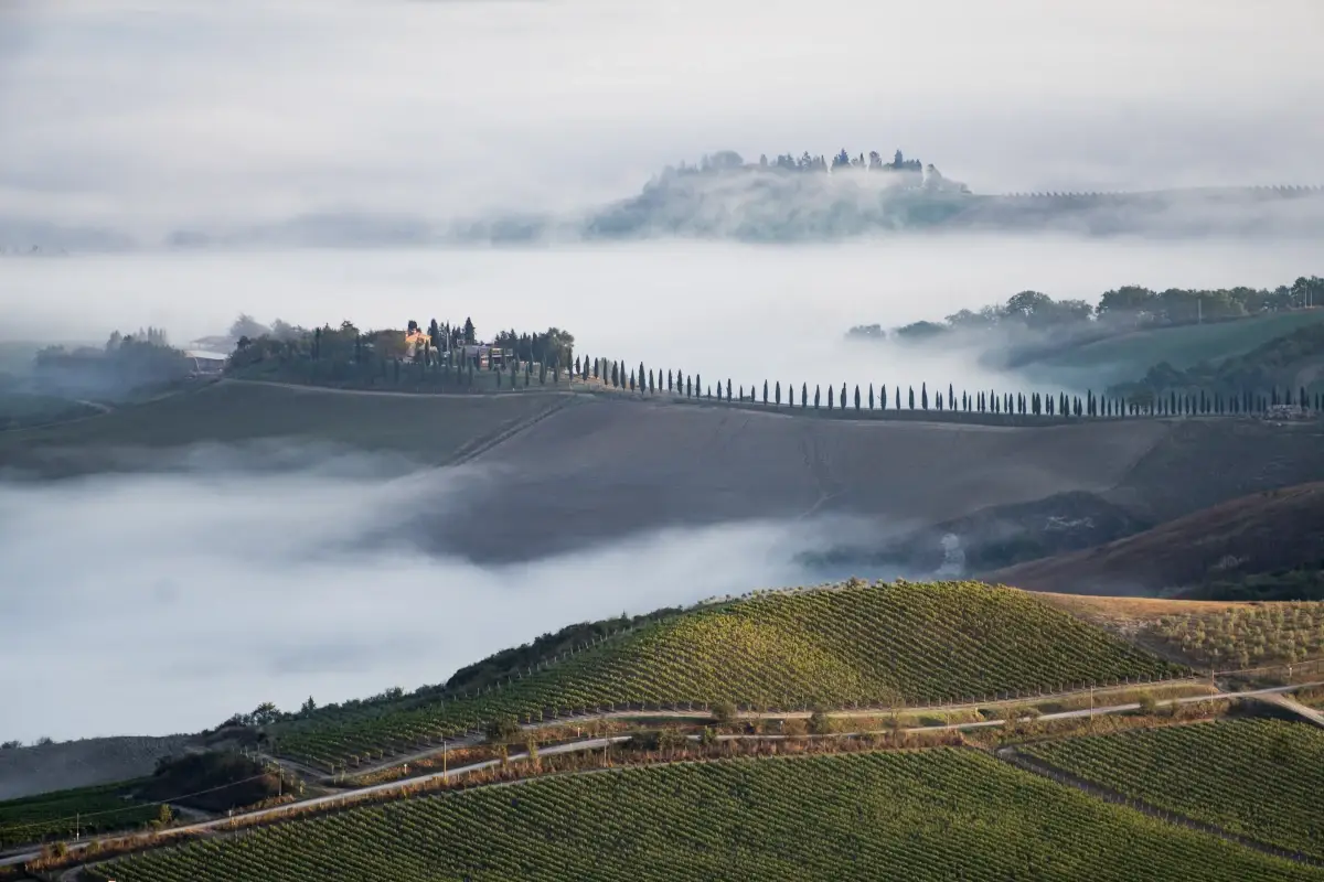 Gli enoturisti pazzi per Montalcino Montalcino, l&rsquo;enoturismo segna livelli record aspettando il nuovo Brunello