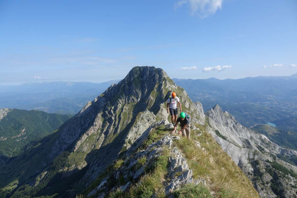 Borghi e miele a Macerata: sei tappe per scoprire l'apicoltura marchigiana
