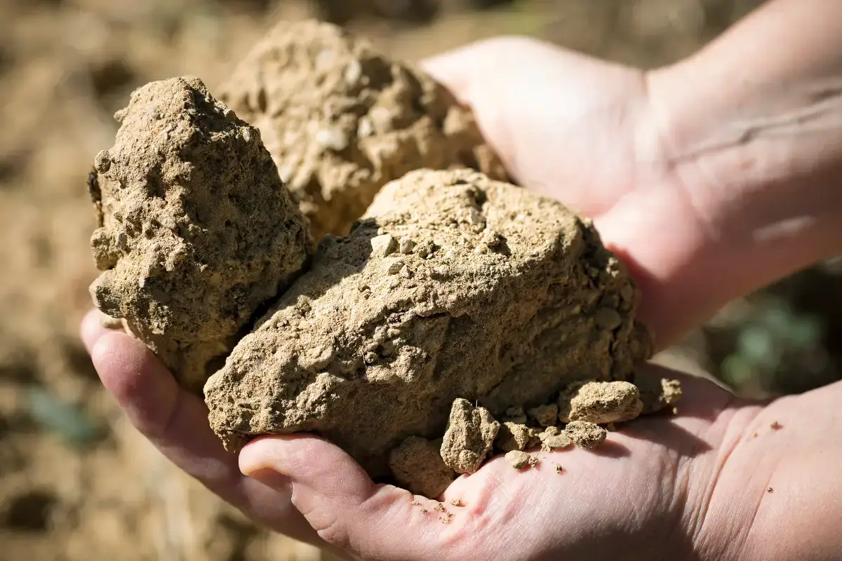Montecucco, da sempre terra vocata alla sostenibilit&agrave; ambientale