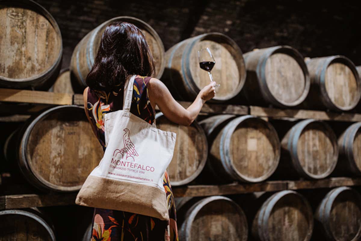 Wine losers chiamati a raccolta “Enologica Montefalco - Abbinamenti