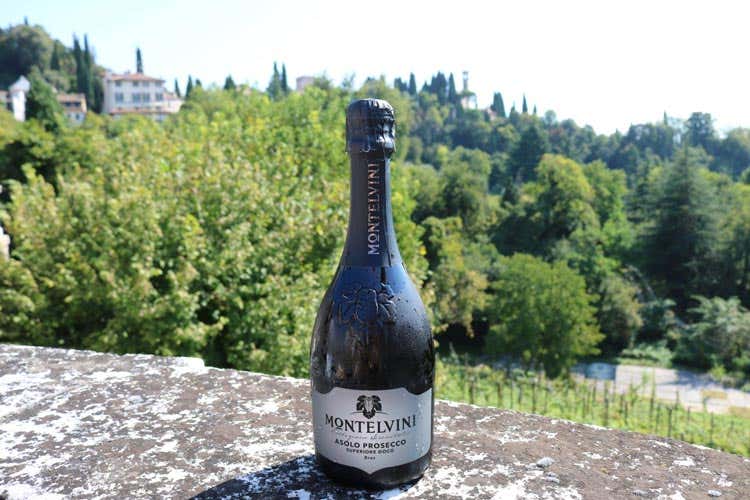 L'Asolo Prosecco di Montelvini - Montelvini ritrova un antico vigneto Primo cru in bottiglia nel 2022