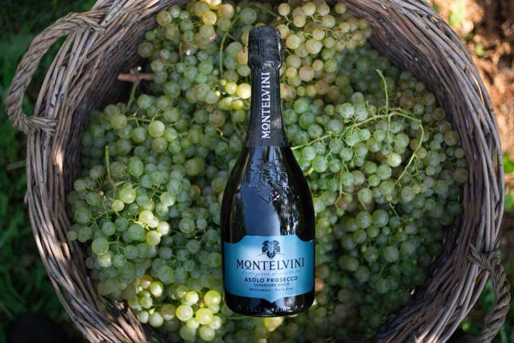 (Montelvini, annata d’oro per l’Asolo Prosecco Superiore Docg) (Montelvini, annata d’oro per l’Asolo Prosecco Superiore Docg)
