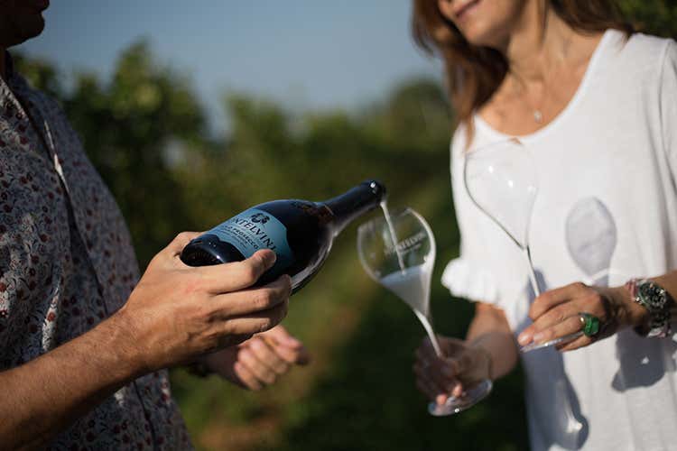 (Nelle bollicine di Asolo pi&ugrave; struttura, sapidit&agrave; e note fruttate)