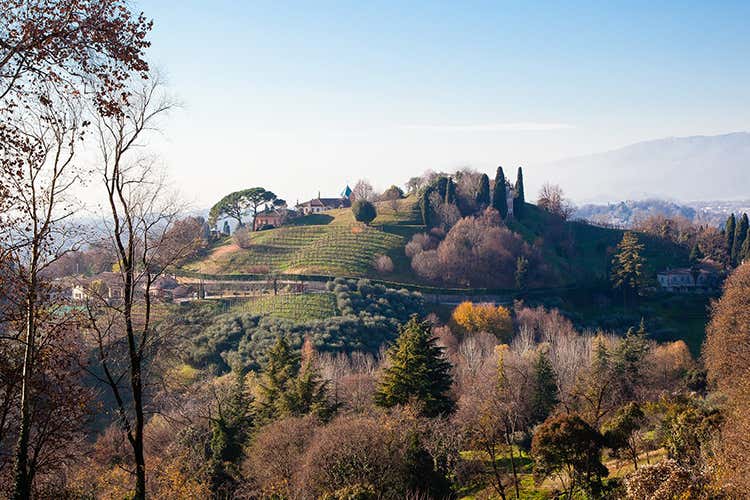 (Immergersi in un luogo magico per degustare le bollicine Montelvini) (Immergersi in un luogo magico per degustare le bollicine Montelvini)