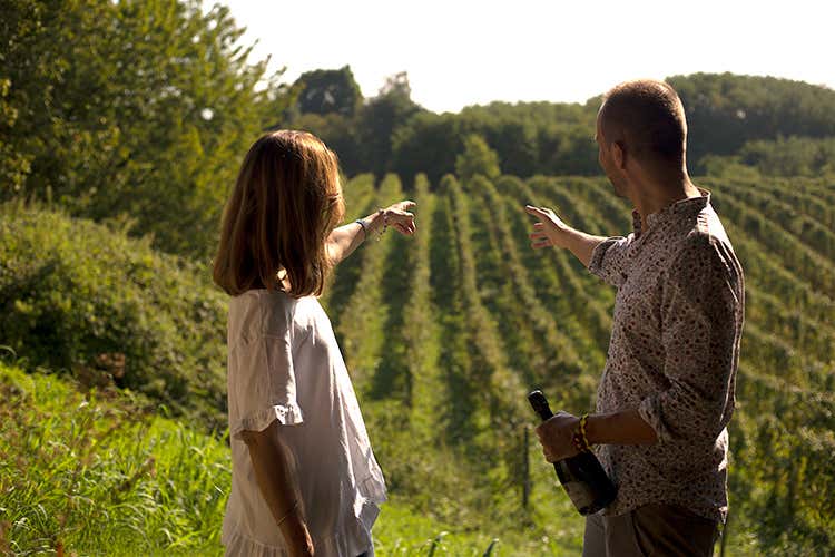 Sarah e Alberto Serena (Montelvini e il Vigneto ritrovato Un anno dopo...)