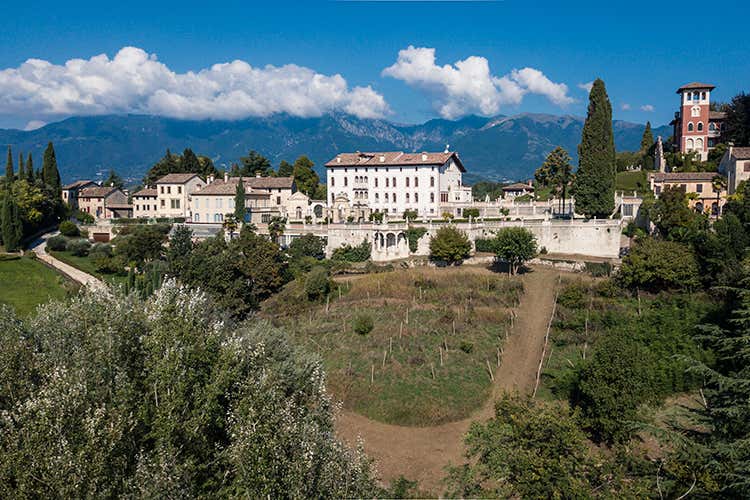 (Montelvini e il Vigneto ritrovato Un anno dopo...)