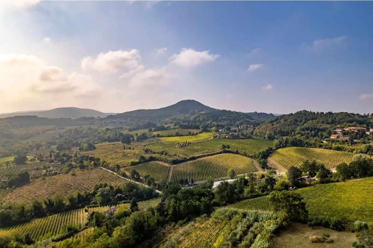 I vigneti di Montepulciano&nbsp; Passato, presente e futuro in una bottiglia di Nobile di Montepulciano