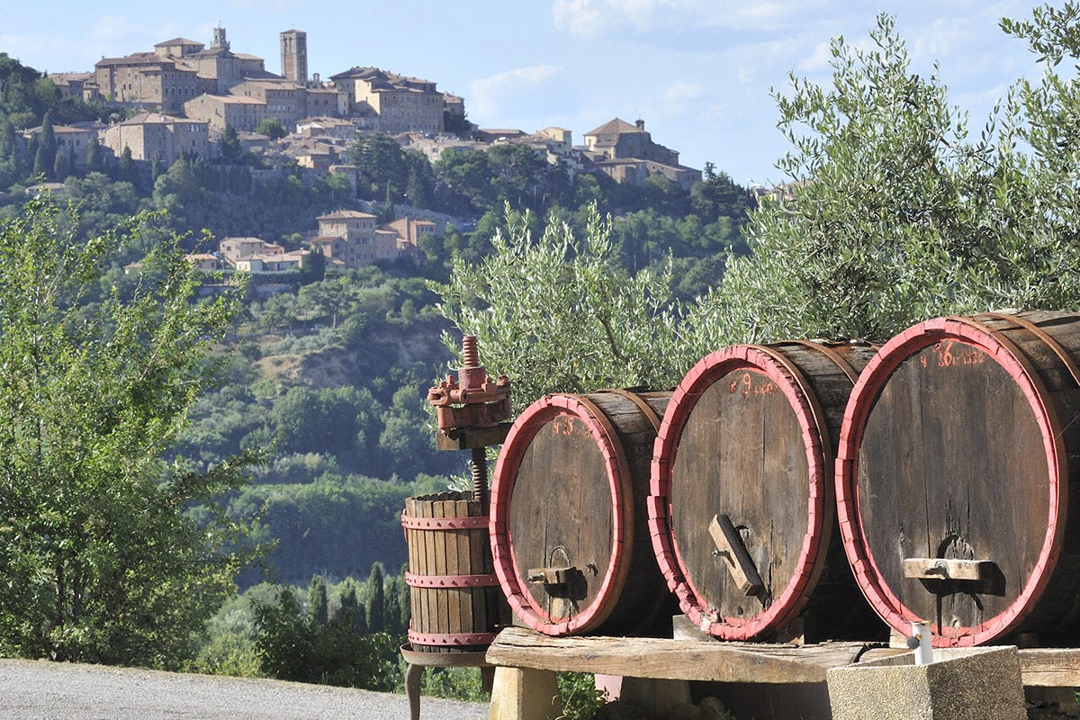 Consorzio Vini d'Abruzzo in azione: in gioco la tutela del Montepulciano