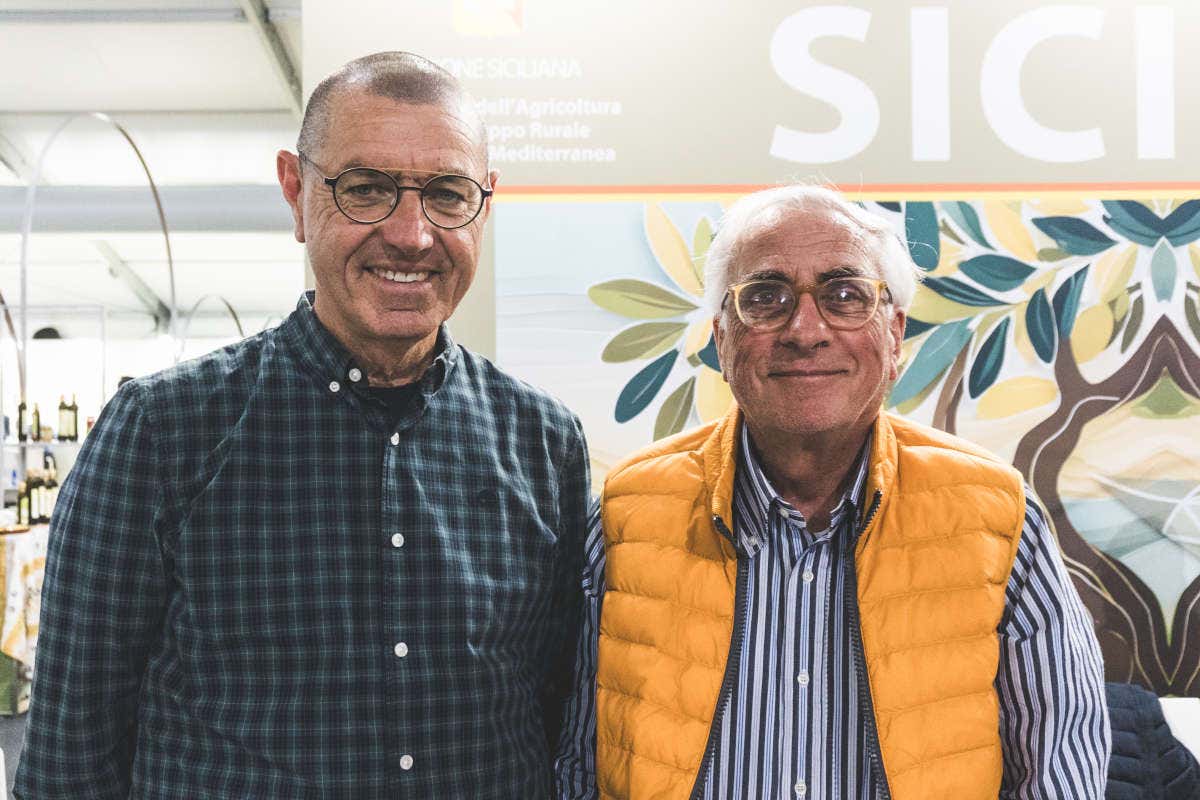 La Sicilia del vino e dell'olio tra unicità, biodiversità e sostenibilità