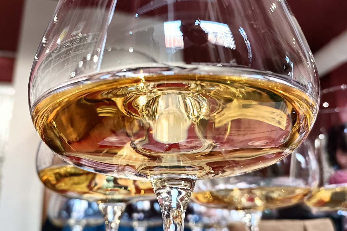 Il Montino La Colombera: il cru di Timorasso sfida il tempo (in magnum)